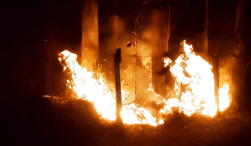 Incêndio mobiliza Corpo de Bombeiros nas proximidades da UPA Brasília