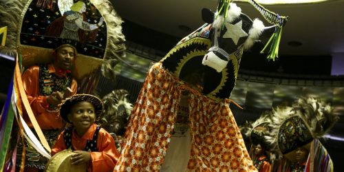 Imagem referente a Hoje é Dia: semana celebra Bumba-Meu-Boi, capoeira e combate racismo