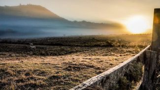 Cidades do Sul registram temperaturas negativas neste domingo