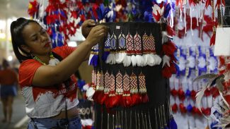 Campeão do Festival de Parintins será conhecido nesta segunda