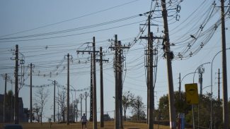 Acidentes fatais com a rede elétrica caem 8% em 2023, aponta Abradee