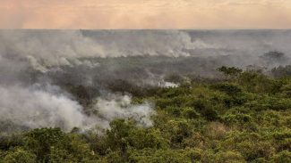 Pantanal poderá ter crise hídrica histórica em 2024, aponta estudo