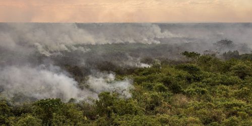 Imagem referente a Pantanal poderá ter crise hídrica histórica em 2024, aponta estudo