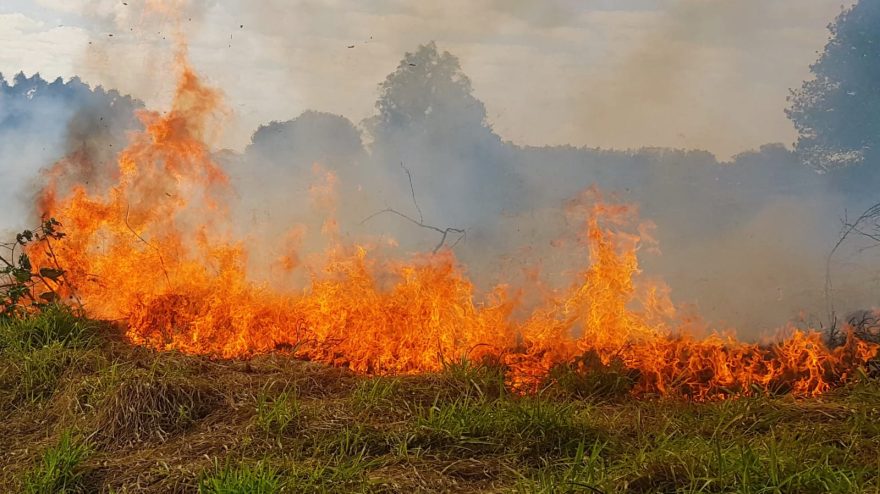 Incêndio no Cascavel Velho mobiliza Corpo de Bombeiros