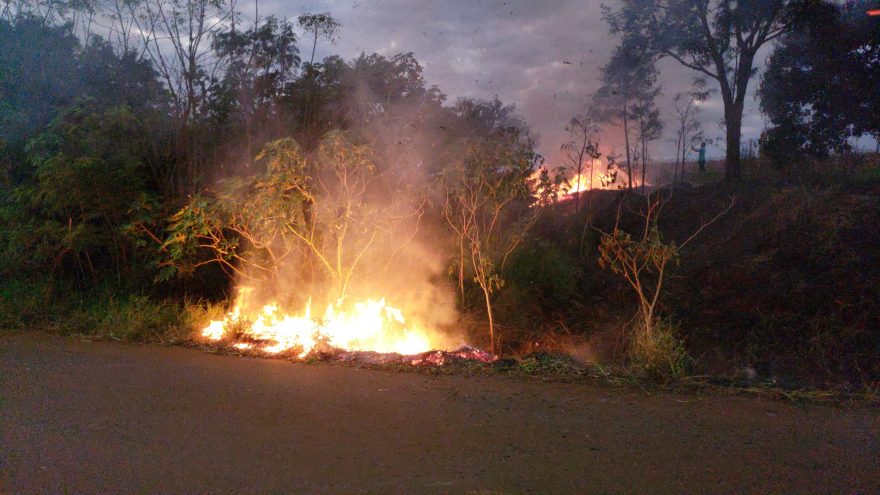“Surto de incêndios ambientais”: Ao menos quatro ocorrências de fogo em mato foram registradas na madrugada