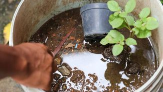 Dengue: Saúde encerra atividades do Centro de Operações em Emergência