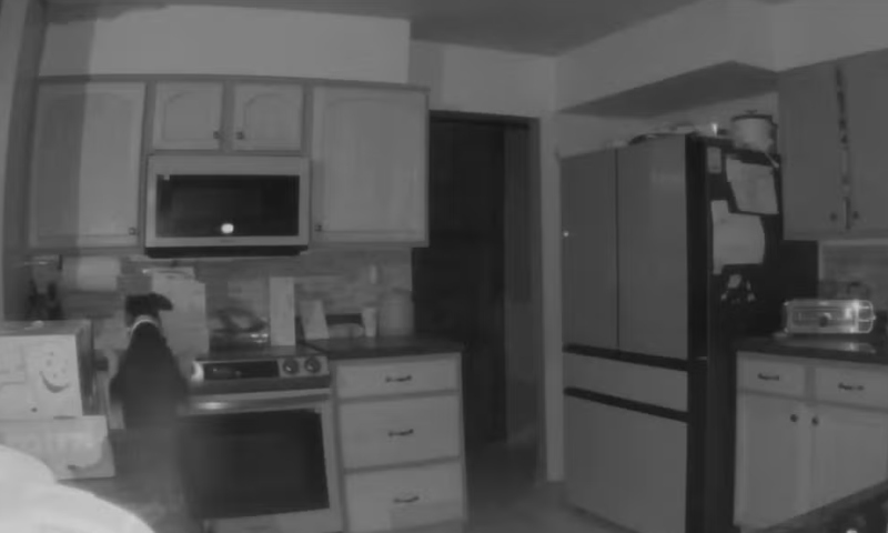 Cachorro acende fogão no meio da noite e causa incêndio em casa; veja vídeo!