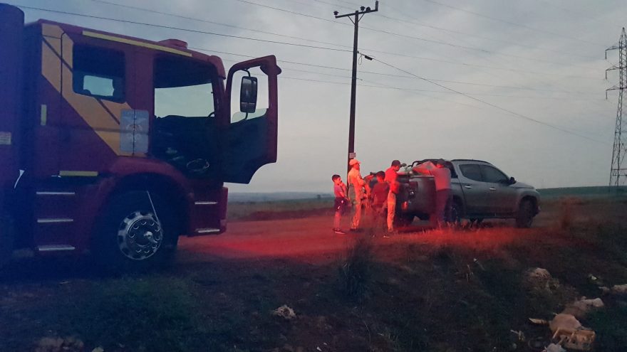 Final feliz: filhotes são resgatados por família de agricultores