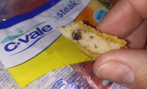 Consumidora diz ter encontrado “mosca varejeira” em steak de frango da C. Vale Imagem referente a Consumidora diz ter encontrado “mosca varejeira” em steak de frango da C. Vale