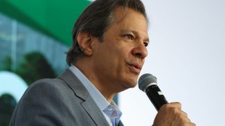 Isenção a carnes pode elevar alíquota geral em 0,53 ponto, diz Haddad