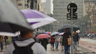 Após madrugada chuvosa, tempo abre e o sol aparece entre nuvens em SP