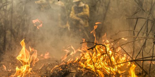 Imagem referente a Combate a incêndios pode ser feito por pilotos e aviões estrangeiros 