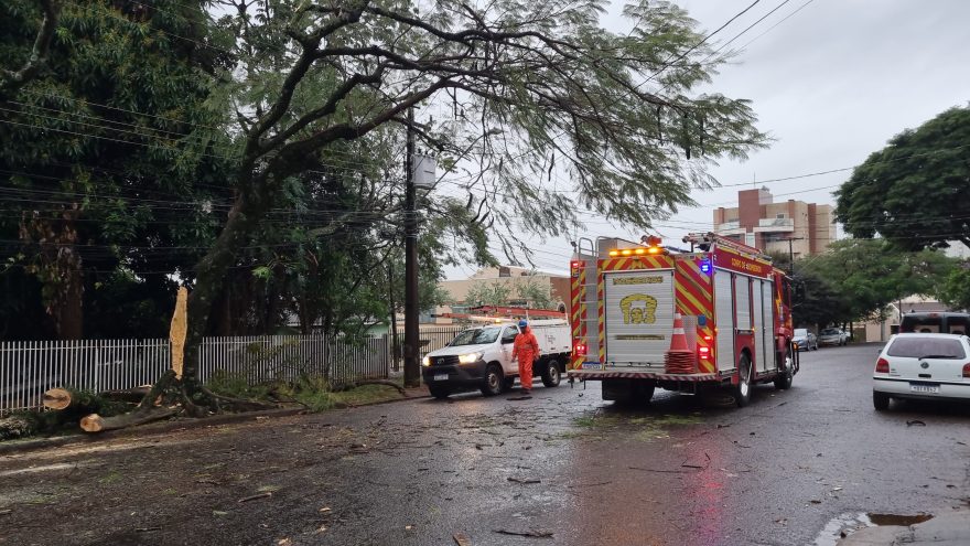 Caminhão enrosca em galhos de árvore e Bombeiros são acionados para fazer poda
