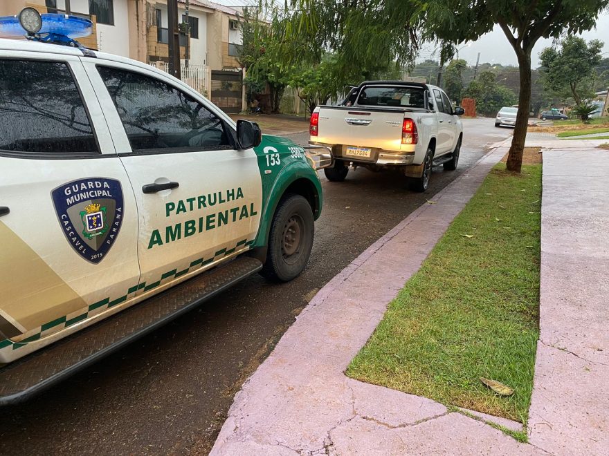 Caminhonete furtada ontem é recuperada pela Patrulha Ambiental da GM