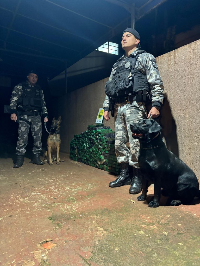 Choque apreende droga escondida em caminhonete