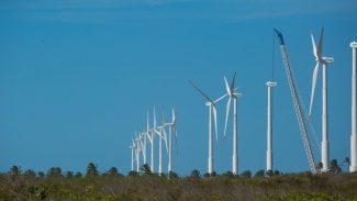 Câmara aprova definição do projeto marco legal de hidrogênio verde