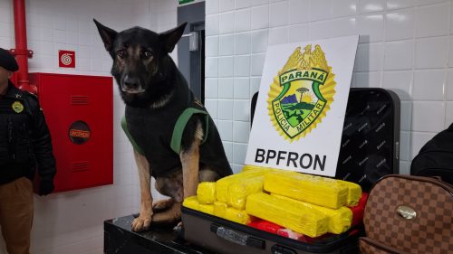 Imagem referente a Passageira é presa com 24 Kg de maconha em ônibus de linha