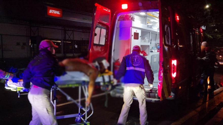 Mulher quebra copo na cabeça de companheiro e acaba presa; homem foi hospitalizado