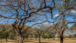 Inmet alerta sobre baixa umidade no Centro-Oeste e no Tocantins