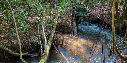 Imagem referente a Estudo aponta impacto negativo de mudanças climáticas na agricultura