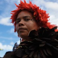 Imagem referente a MUPA abre videoinstalação da artista e ativista indígena Glicéria Tupinambá