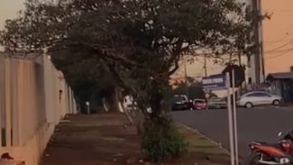 Vídeo mostra momento de confronto que deixou dois mortos no Pacaembu