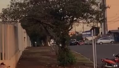 Imagem referente a Vídeo mostra momento de confronto que deixou dois mortos no Pacaembu