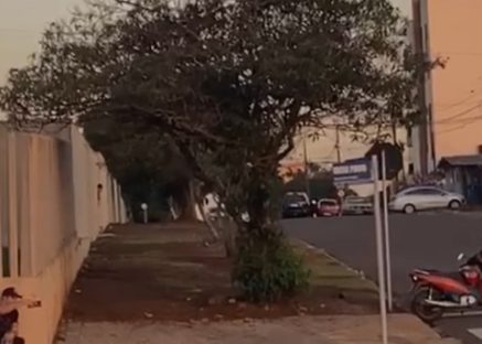 Imagem referente a Vídeo mostra momento de confronto que deixou dois mortos no Pacaembu