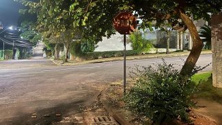 Placa de sinalização encoberta por galhos pode ter contribuído para acidente no Neva
