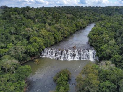 Mata ciliar aumenta 12% no Paraná com proteção de nascentes e plantio de mudas