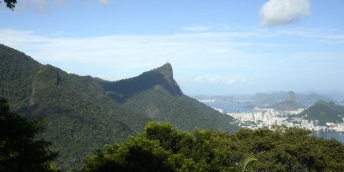 Imagem referente a Só 6,9% das áreas urbanas do país são cobertas por vegetação