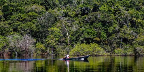 Imagem referente a Hepatite Delta avança entre ribeirinhos no Amazonas