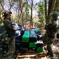 Imagem referente a Batalhão de Polícia Ambiental apreende 933 quilos de maconha em Umuarama