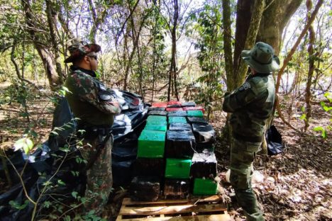 Batalhão de Polícia Ambiental apreende 933 quilos de maconha em Umuarama Imagem referente a Batalhão de Polícia Ambiental apreende 933 quilos de maconha em Umuarama