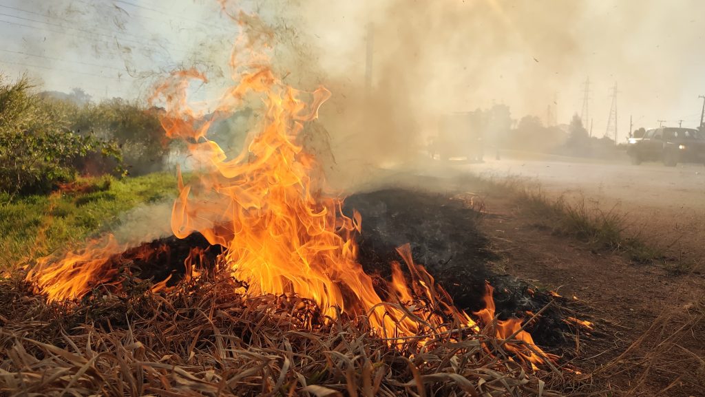 Corpo de Bombeiros combate incêndio em vegetação às margens da rodovia BR-467