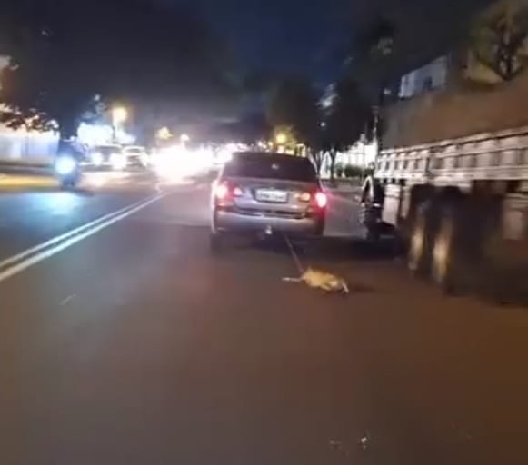 Cachorro é puxado por carro em movimento: veja o vídeo