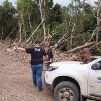 Imagem referente a Com fiscalização do IAT, crimes ambientais tiveram redução de 30% na região de Maringá