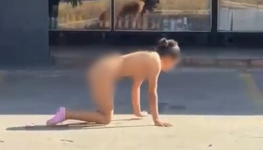 Imagem referente a Mulher é flagrada engatinhando ‘como veio ao mundo’ em avenida movimentada; assista!
