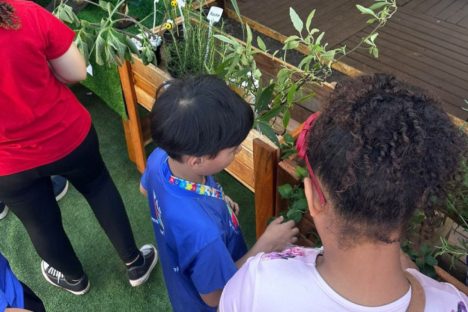 Governo do Estado promove a inclusão ambiental por meio de jardins sensoriais