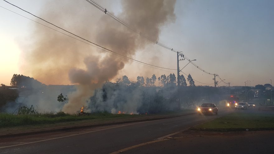 Incêndio em vegetação atrapalha trânsito nas proximidades do viaduto Olindo Periolo