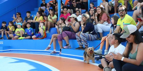 Imagem referente a Torcida diz que futebol feminino precisa melhorar para chegar ao ouro