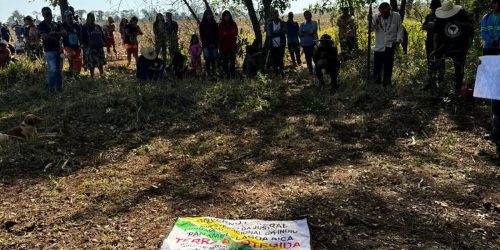 Imagem referente a Funai recorre de decisão que impede assistência a indígenas no Paraná