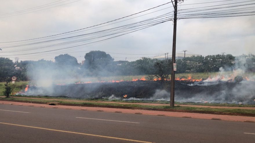 Bombeiros combatem incêndio em vegetação rasteira no Brasmadeira