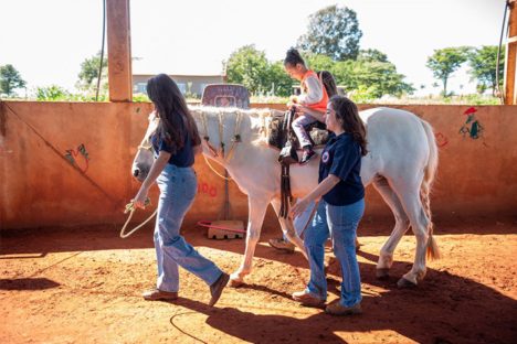 Núcleo da UENP responsável por terapia com cavalos atende 105 pessoas em Bandeirantes