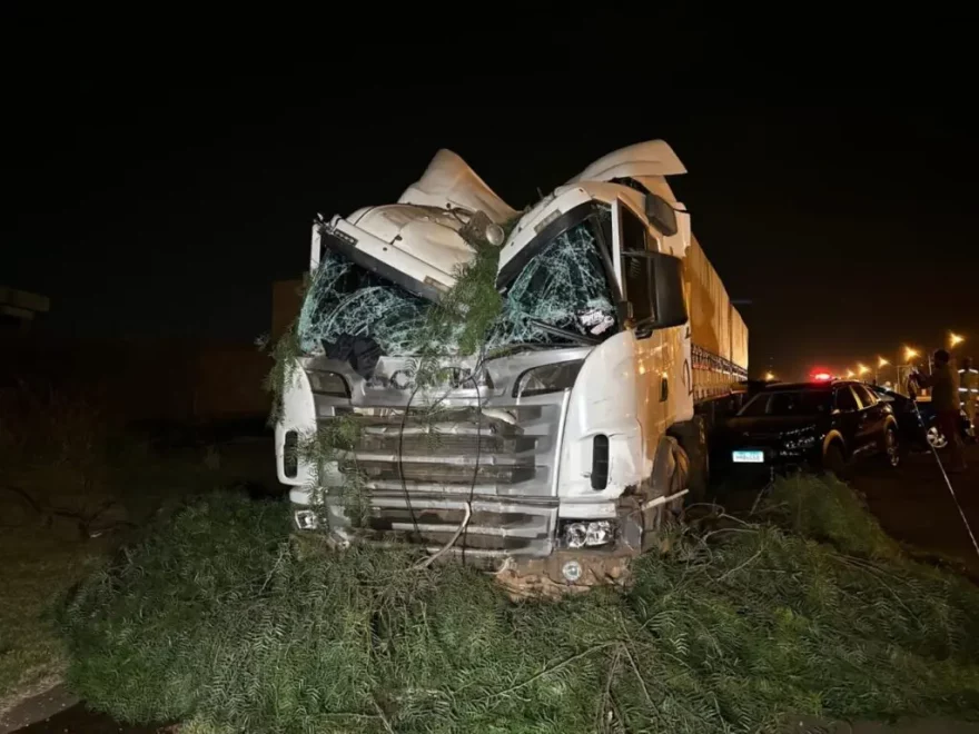 Vídeo mostra carreta desgovernada derrubando postes, árvores e batendo em sete carros