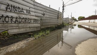 Tribunal da Holanda condena Braskem a indenizar vítimas de Maceió