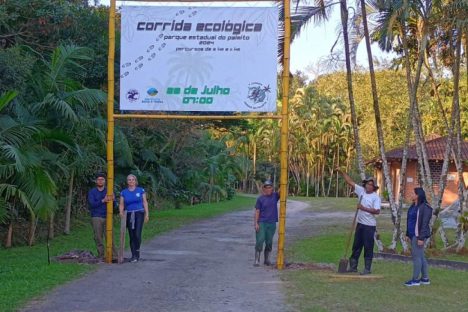 Conscientização no Litoral tem recuperação de mangues, fiscalização e corrida ecológica