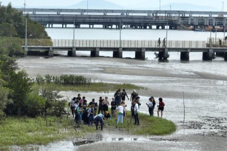 IAT promove recuperação de mangues, fiscalização e corrida ecológica no Litoral