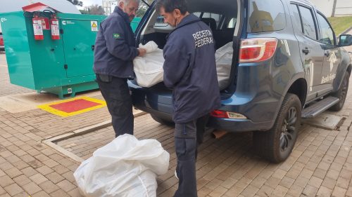 Imagem referente a Receita Federal apreende 96 quilos de maconha em transportadora de Cascavel