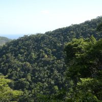 Propostas para o Plano Clima serão debatidas nos biomas brasileiros Imagem referente a Propostas para o Plano Clima serão debatidas nos biomas brasileiros